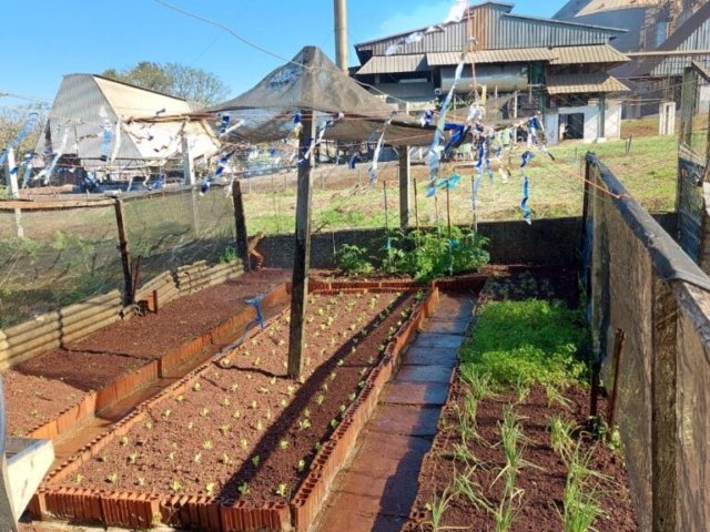 WhatsApp Image 2025-08-04 at 11.53.37 (1)